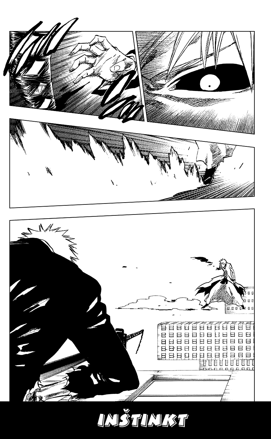 Bleach-25-07-02 kopie.jpg